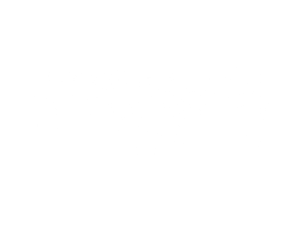 nekromanzer wear logo