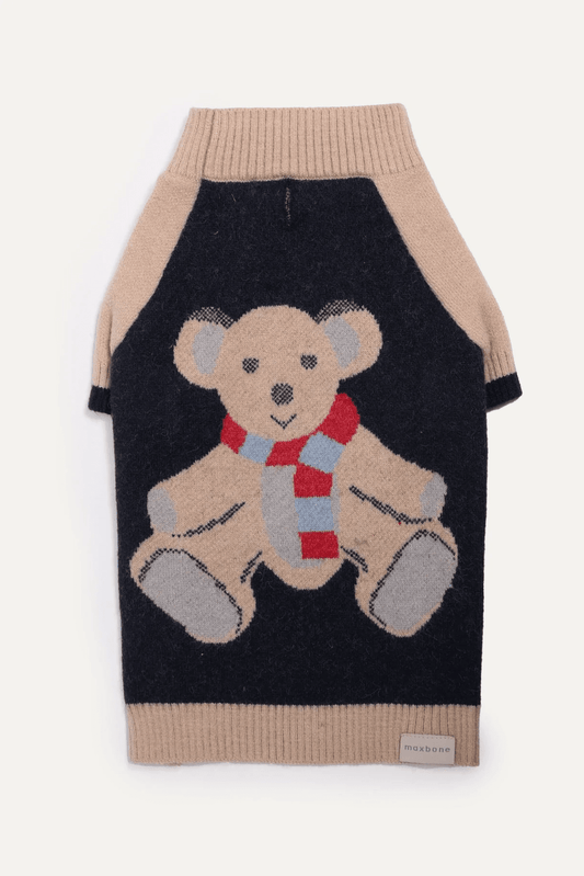 Teddy Raglan Sweater